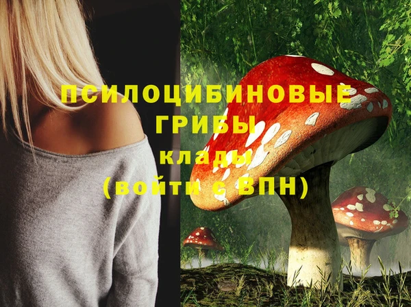 экстази Гусь-Хрустальный