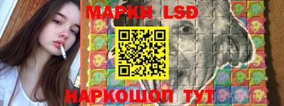 стафф Гатчина
