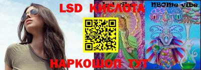 стафф Гатчина