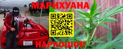 стафф Гатчина