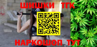 стафф Гатчина