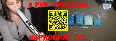 стафф Гатчина