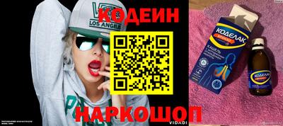 стафф Гатчина
